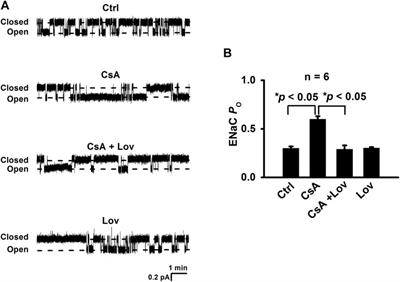 NaHS or Lovastatin Attenuates Cyclosporine A–Induced Hypertension in Rats by Inhibiting Epithelial Sodium Channels